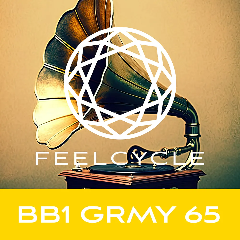 BB1 GRMY 65