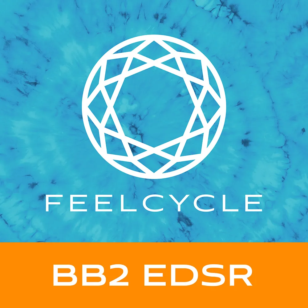 BB2 EDSR