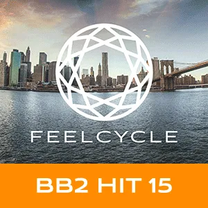 BB2 HIT 15
