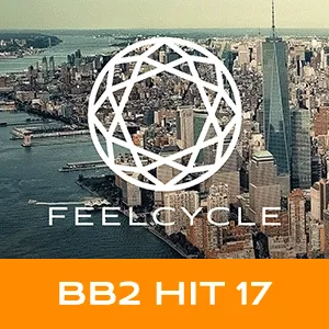 BB2 HIT 17