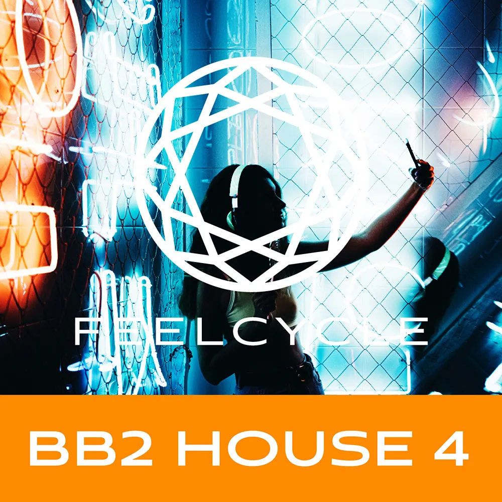 BB2 HOUSE 4