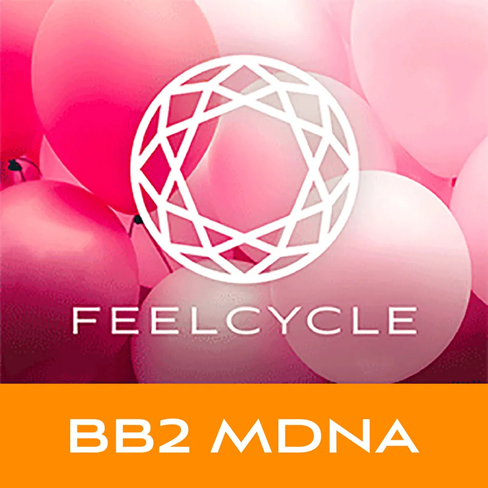 BB2 MDNA