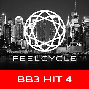 BB3 HIT 4