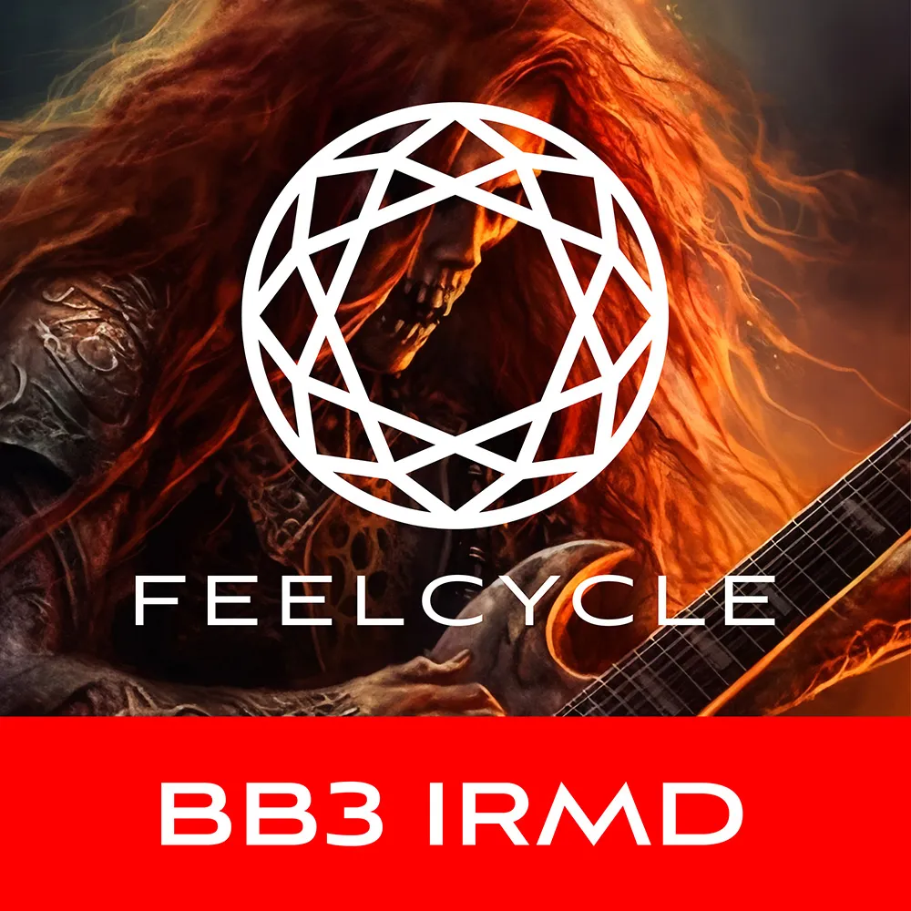 BB3 IRMD