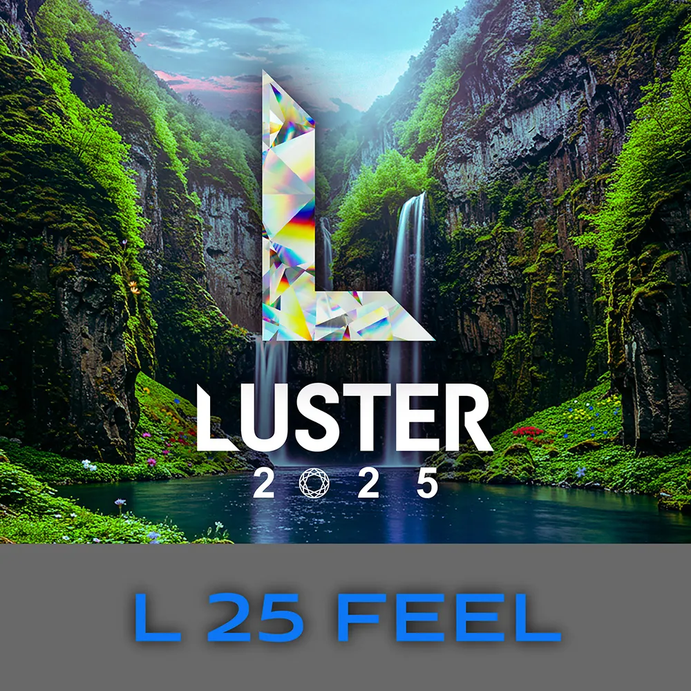 L 25 FEEL