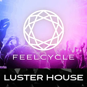 LUSTER HOUSE