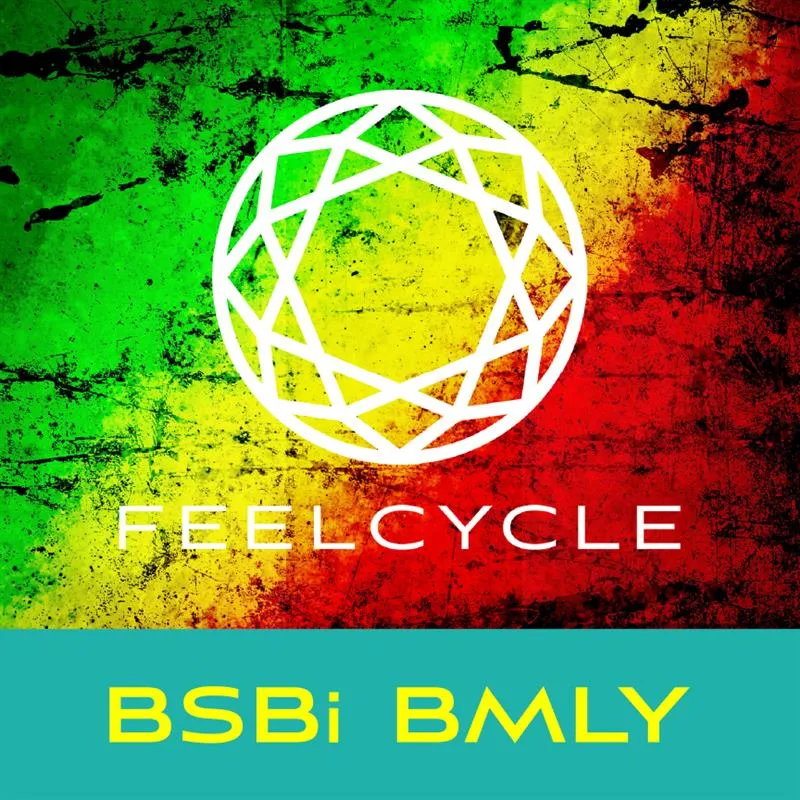 BSBi BMLY