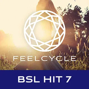 BSL HIT 7