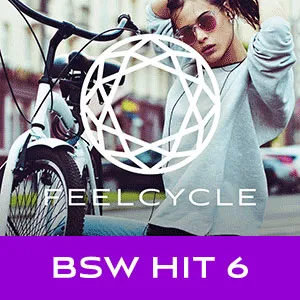 BSW HIT 6