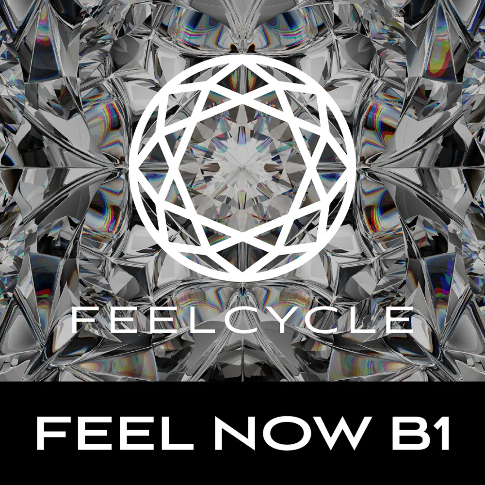 FEEL NOW B1