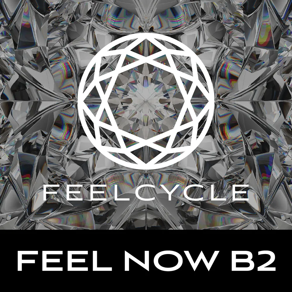 FEEL NOW B2