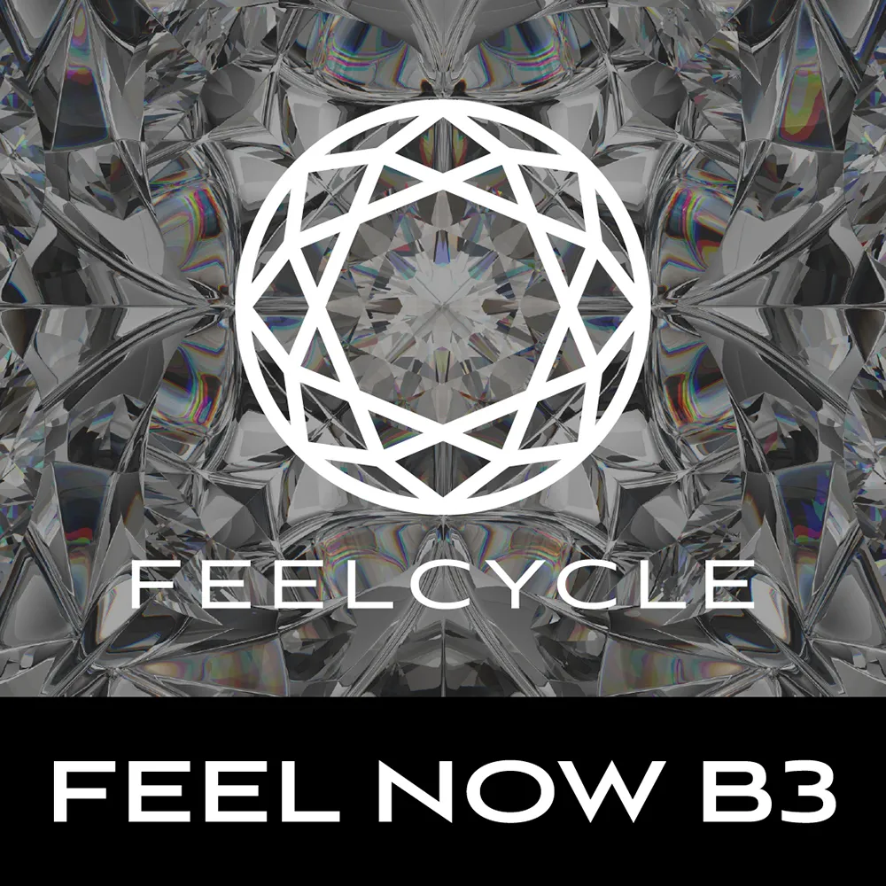 FEEL NOW B3