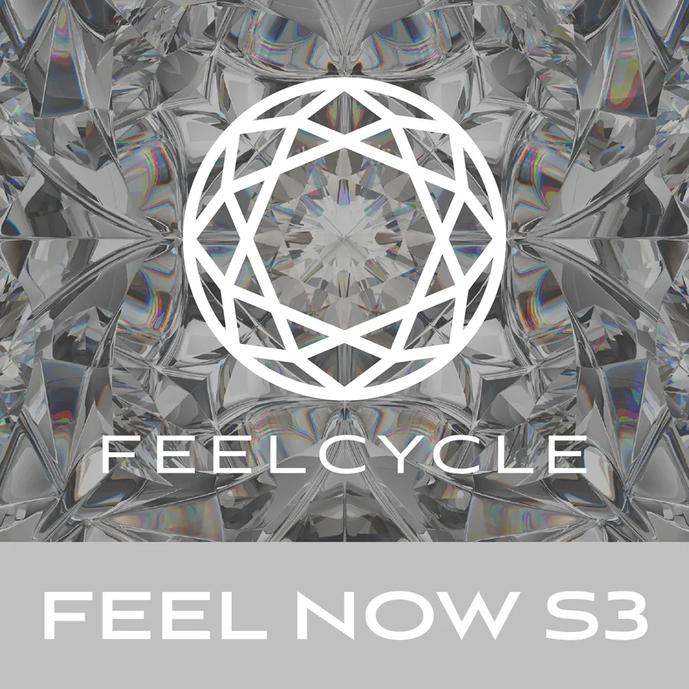 FEEL NOW S3