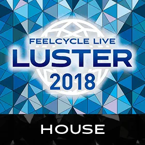 LUSTER 2018 HOUSE