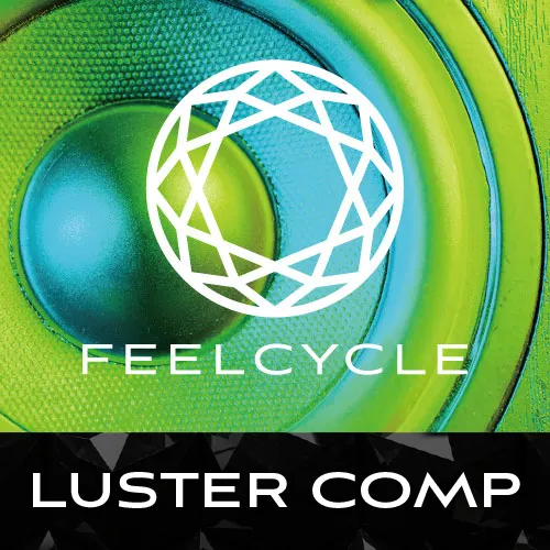 LUSTER 2019 COMP
