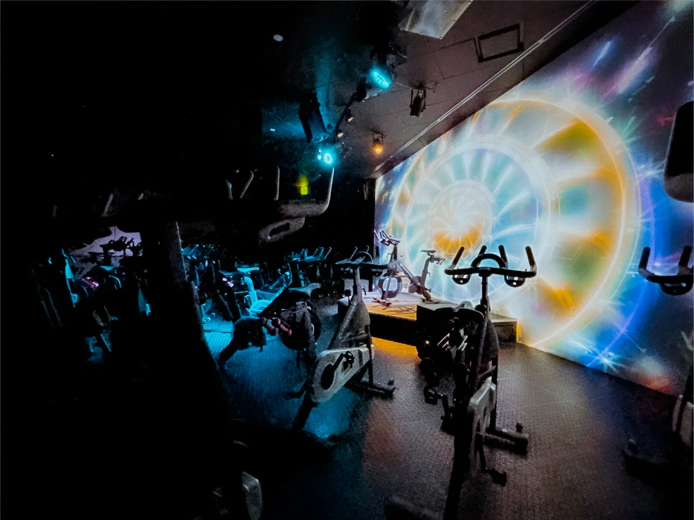 【ルイボス】FEELCYCLE フィールサイクル ルイボス様専用】FEELCYCLE フィールサイクル