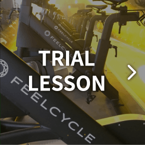 TRIAL LESSON