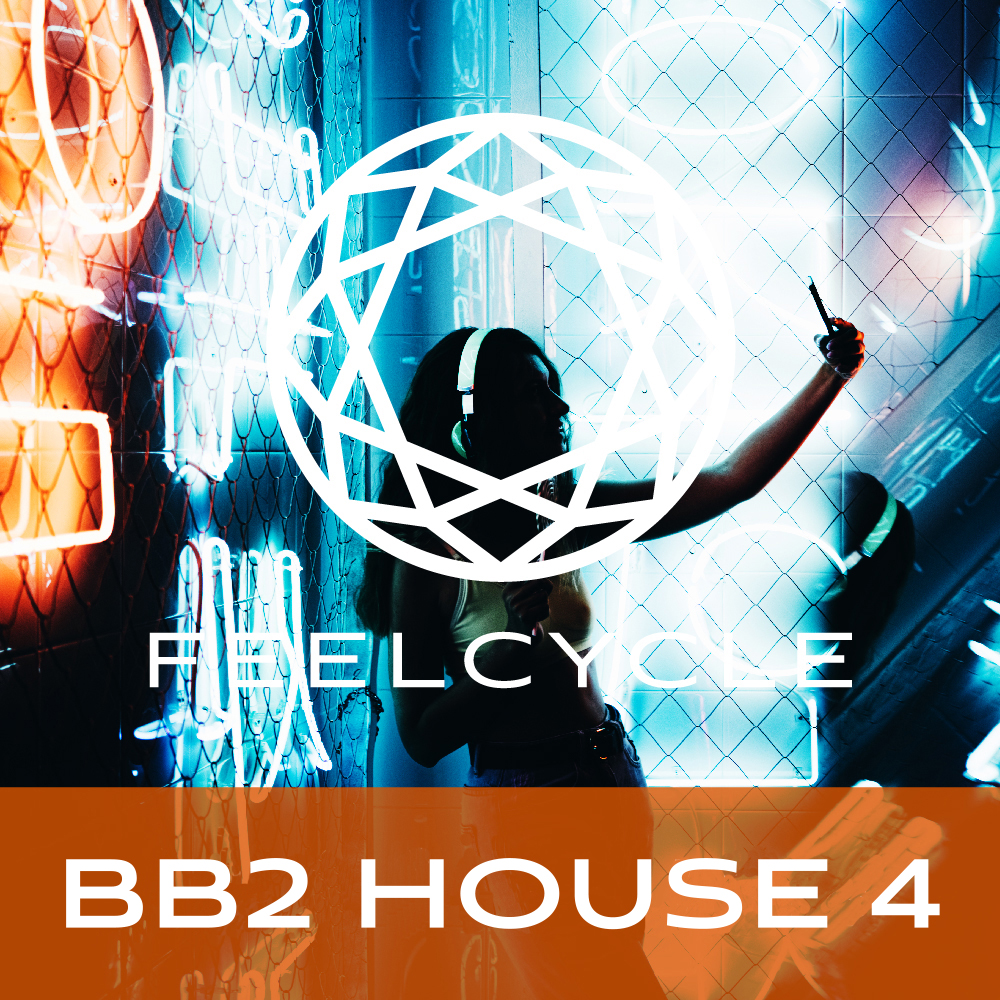 BB2 House 4