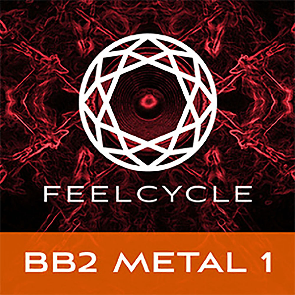 BB2 METAL1