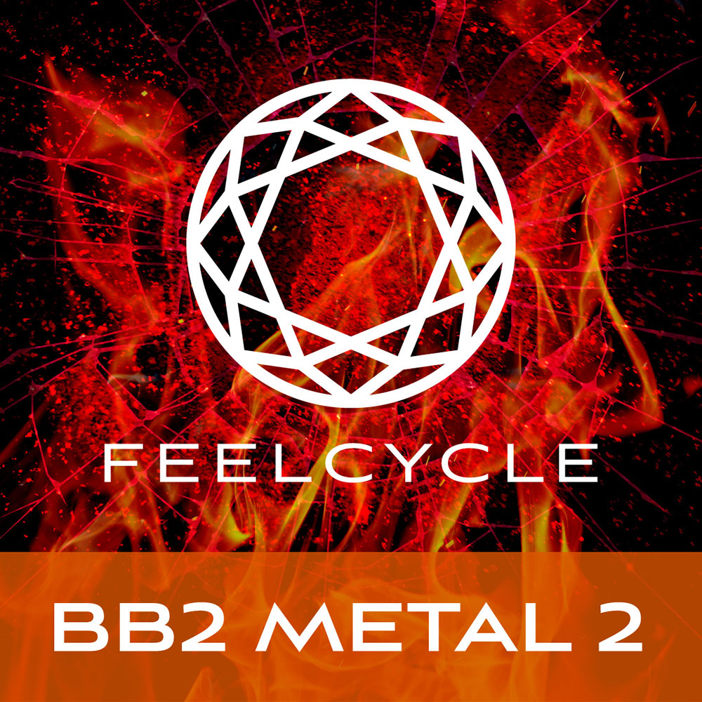 BB2 METAL2