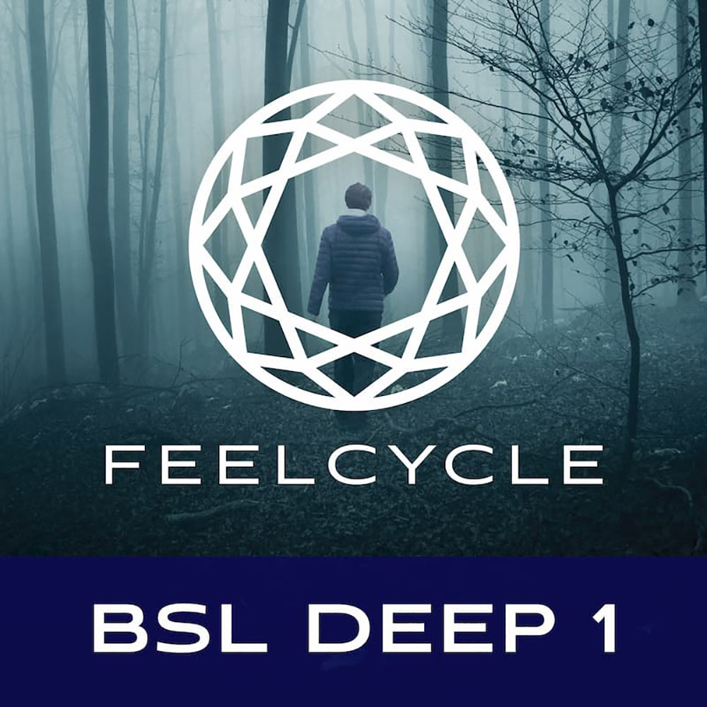 BSL DEEP1