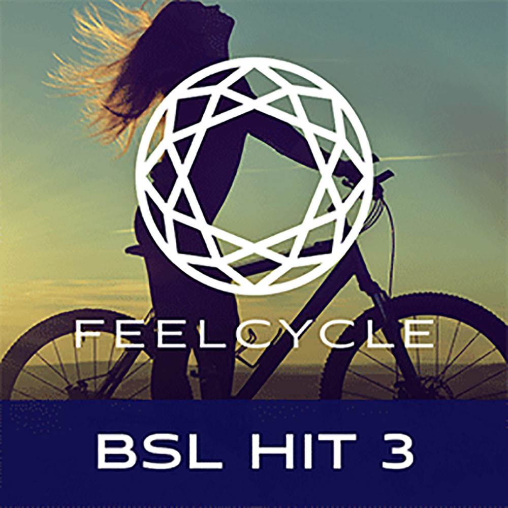 BSL HIT3