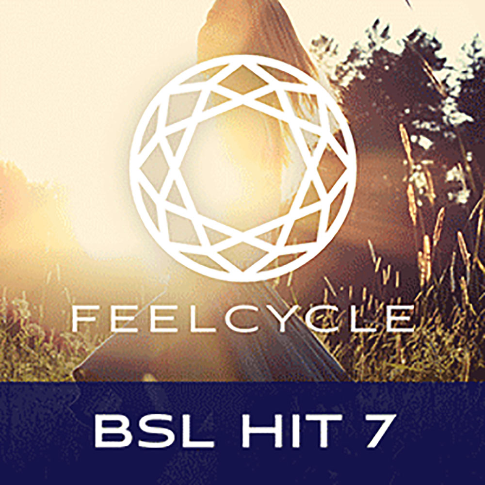 BSL HIT7