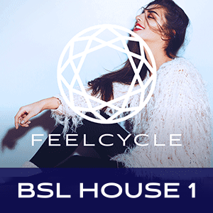 BSL House 1