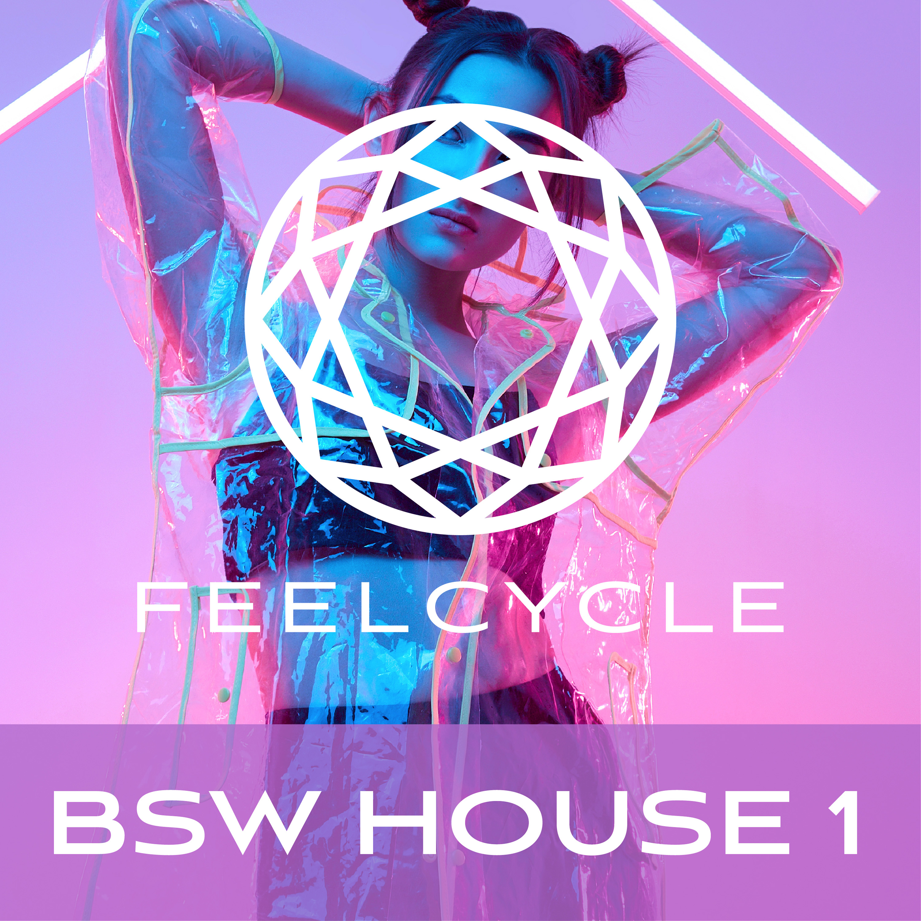 BSW House 1