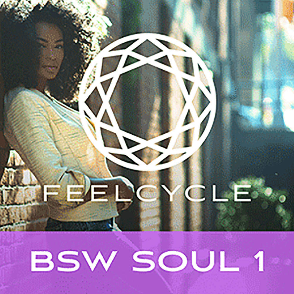 BSW SOUL1