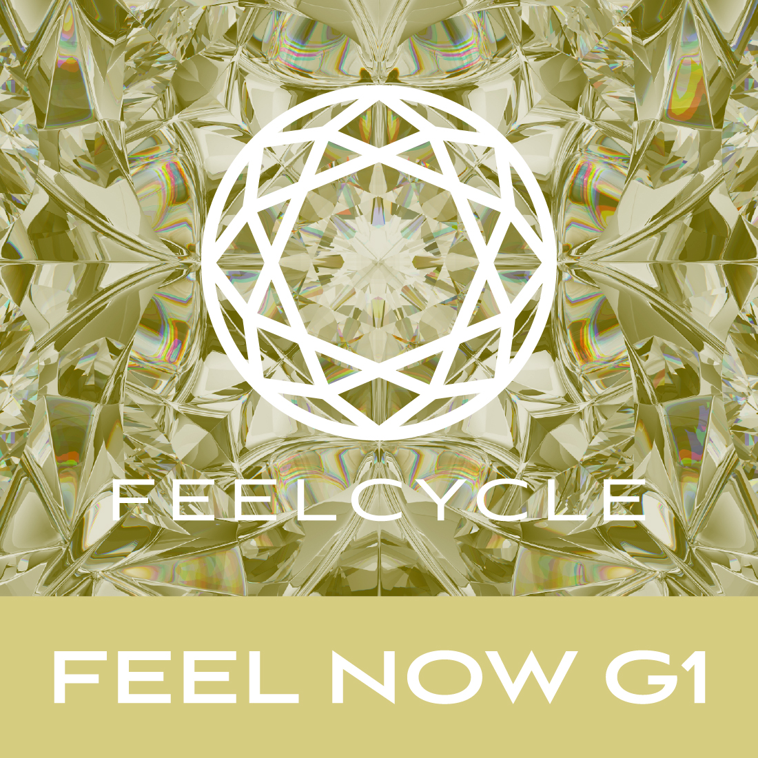 FEEL NOW G1