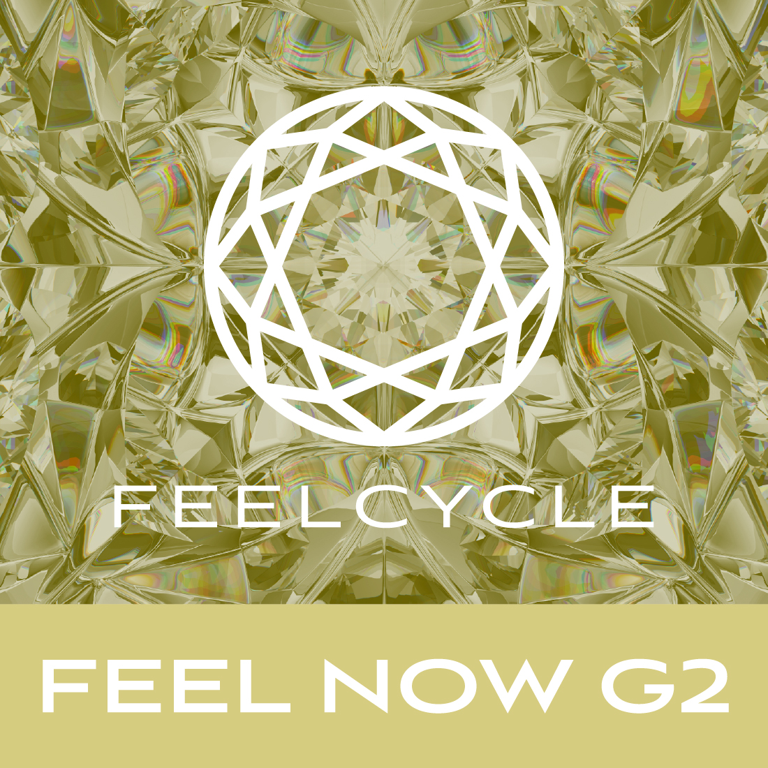FEEL NOW G2