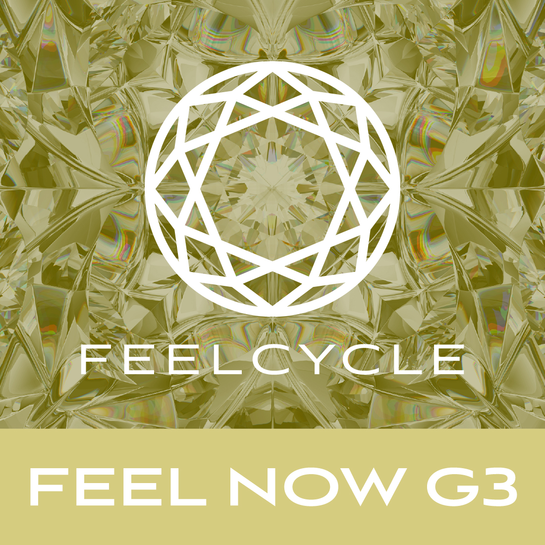 FEEL NOW G3