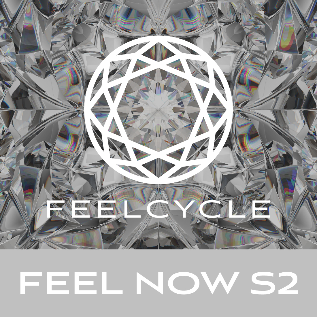 FEEL NOW S2