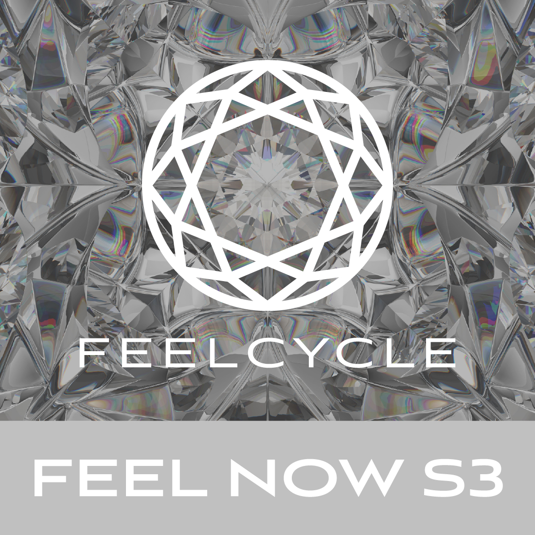 FEEL NOW S3