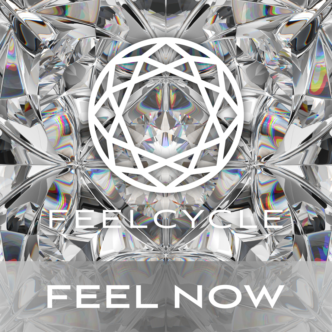FEEL NOW Silver