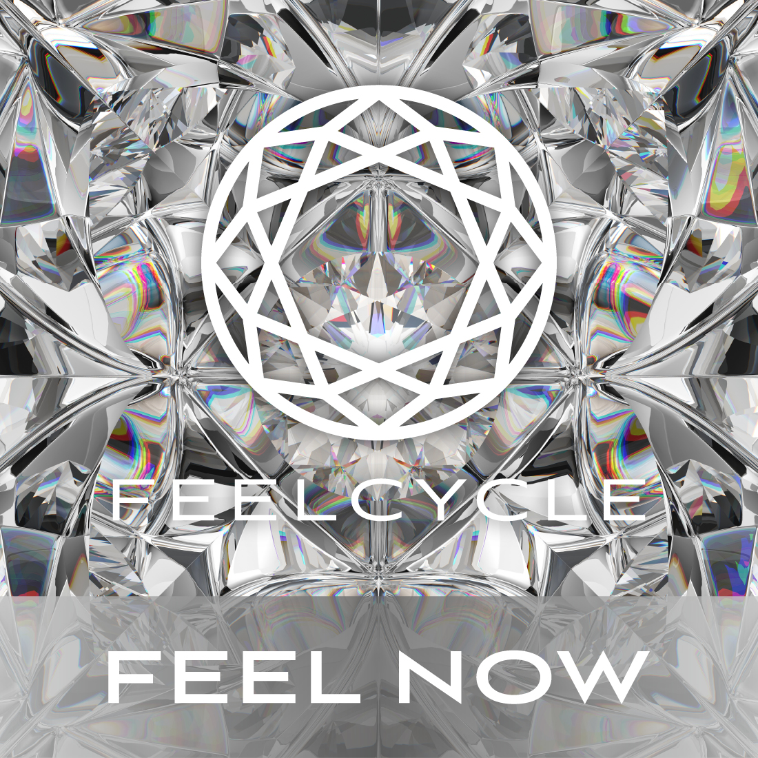 FEEL NOW : SILVER